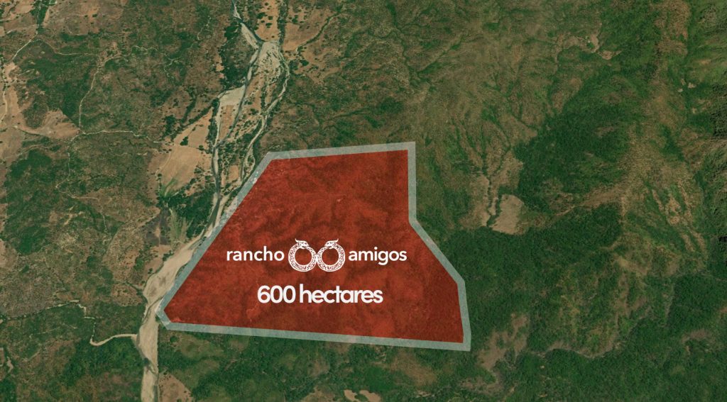 Rancho Amigos Map